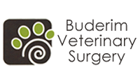 Buderim Veterinary Surgery Logo