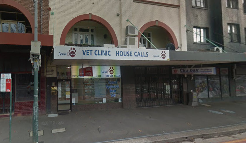 Animal Doctors Sydney City, Surry Hills, 2010 - Vet Near Me
