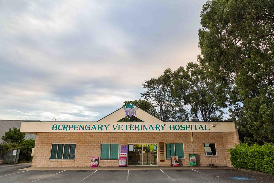 Burpengary Veterinary Hospital, Burpengary, 4505 - Vet Near Me