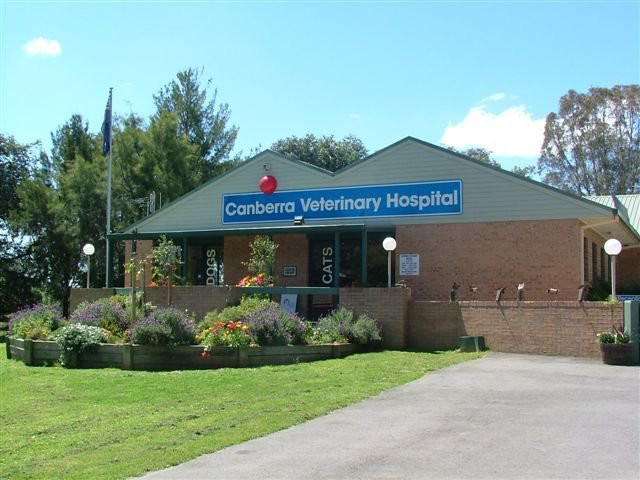 Canberra Veterinary Hospital, Lyneham, 2602 - Vet Near Me