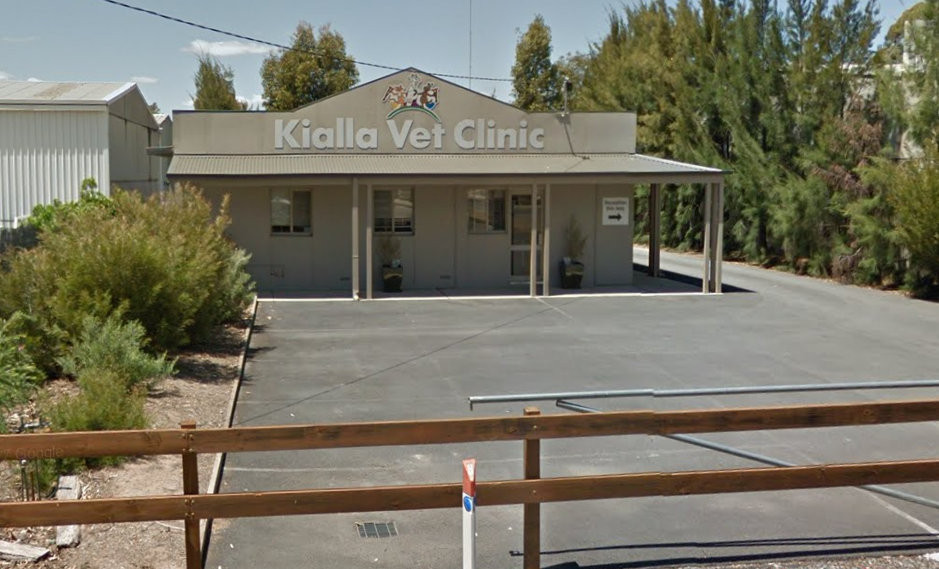 Kialla Veterinary Clinic, Kialla, 3631 - Vet Near Me