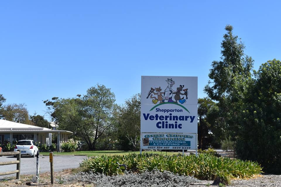Shepparton Veterinary Clinic, Shepparton North, 3631 - Vet ...