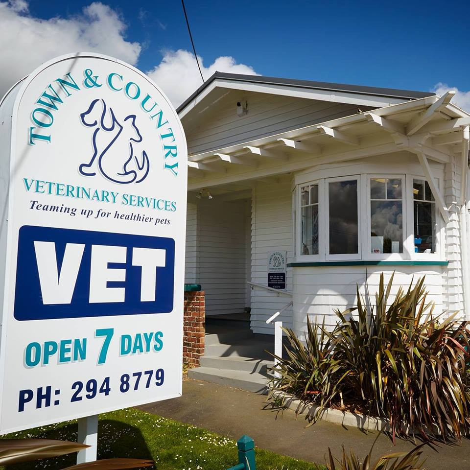 Town And Country Vet Clinic affordablewebsitessdesigning