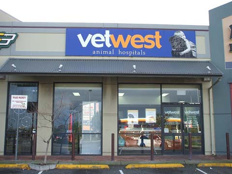 Vetwest cheap near me