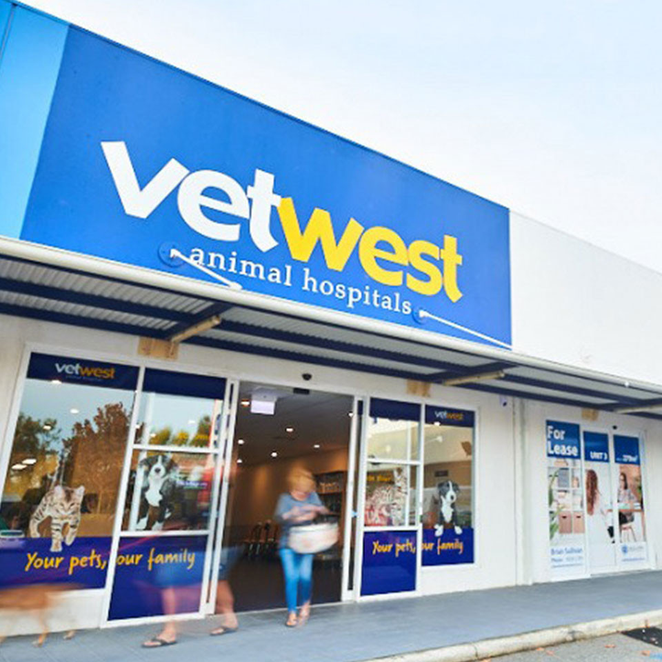 Vetwest cheap near me