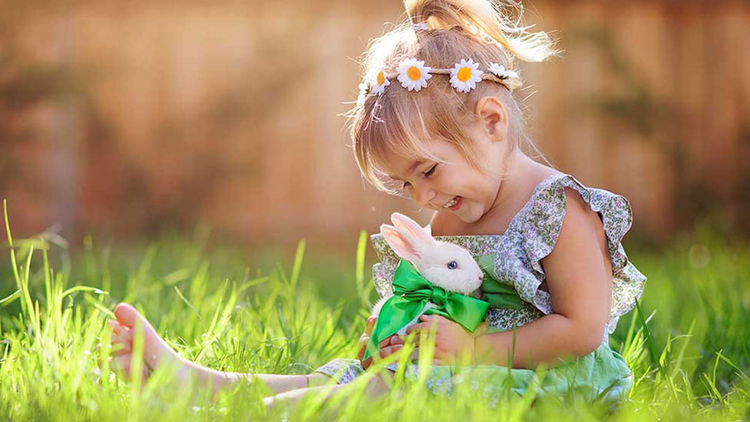 Common Diseases of Pet Rabbits